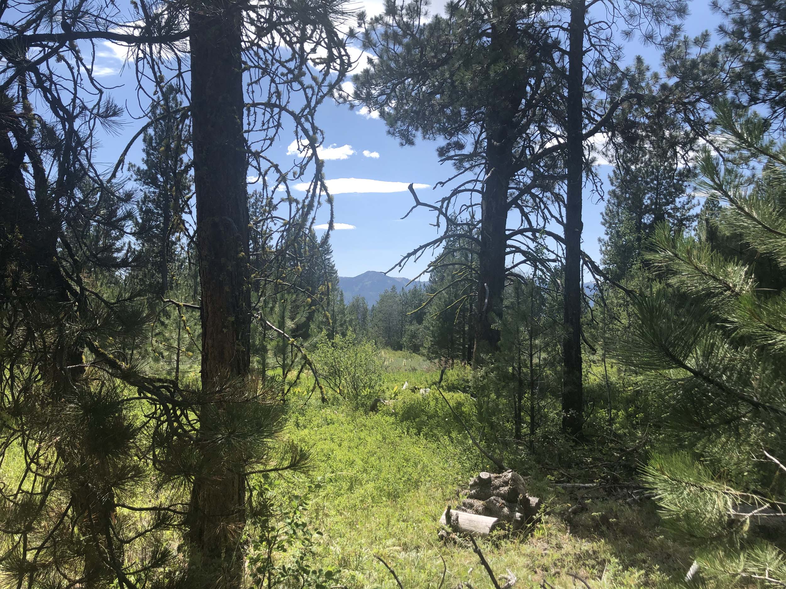 Cascade Lake Realty Whispering Pines